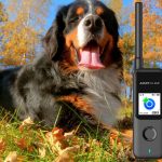 What Does the Aorkuler Dog GPS Tracker Offer?