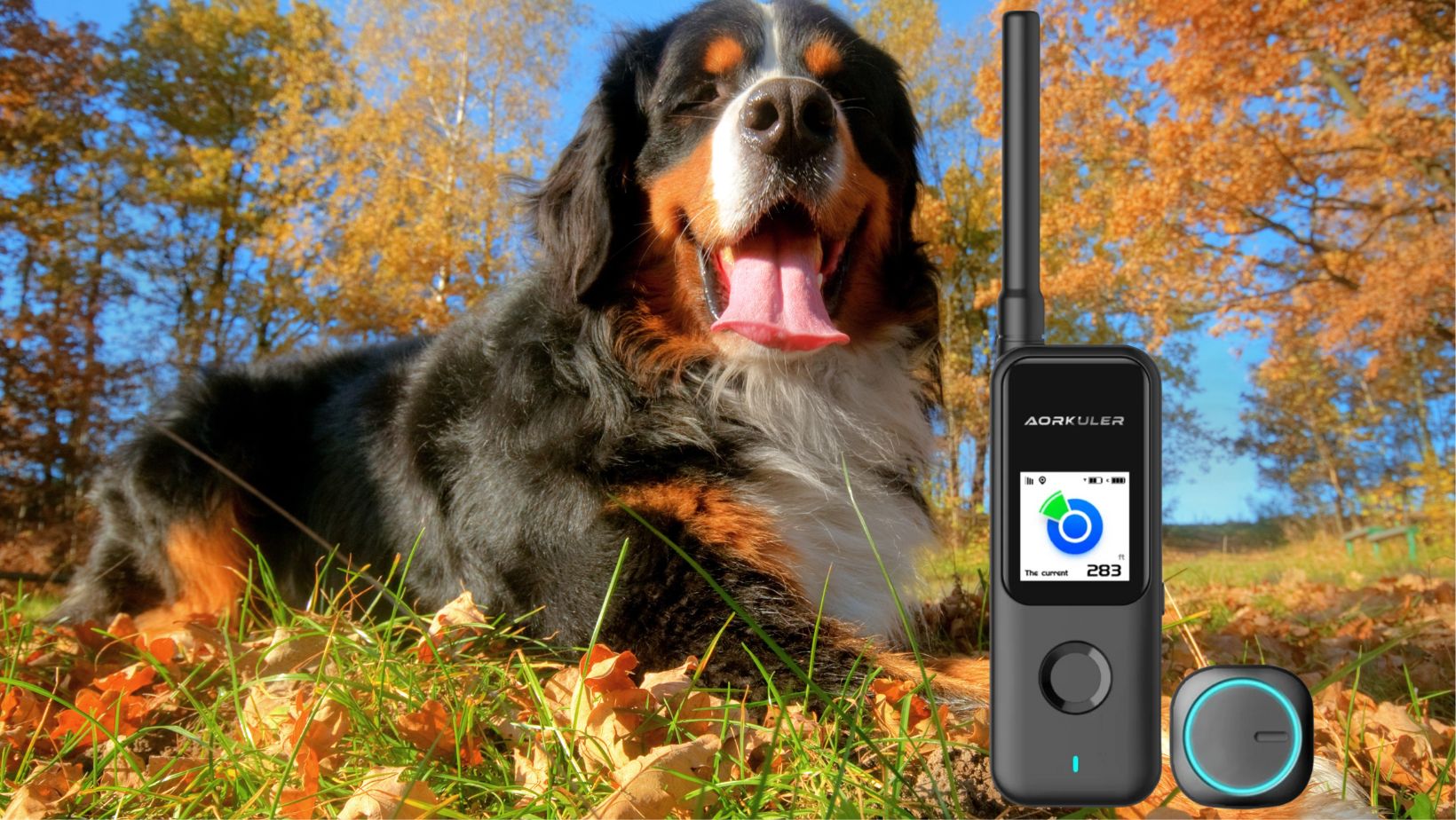 What Does the Aorkuler Dog GPS Tracker Offer?